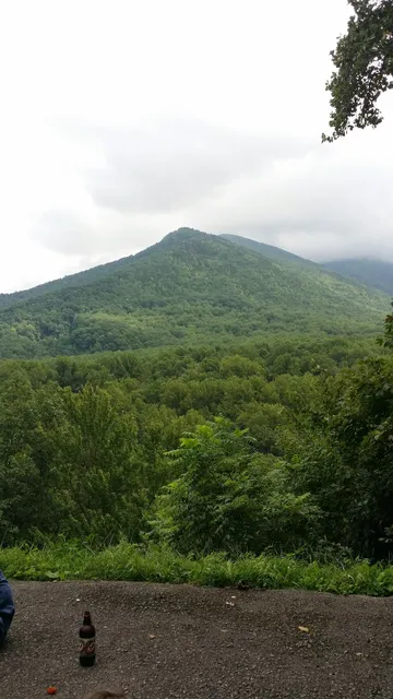 Jim Carr Place Quiet Walkway