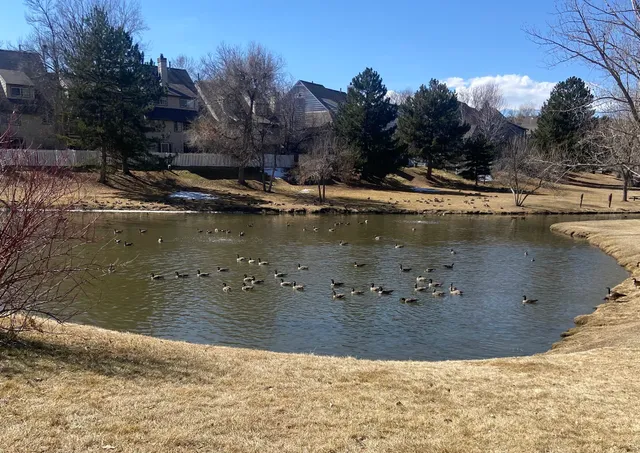 Settlement Pond Park