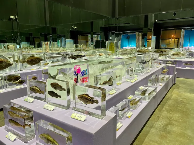 Okhotsk Sea Ice Museum of Hokkaido GIZA