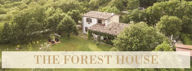 The Forest House B&B
