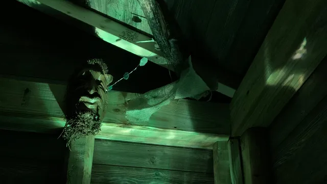 The Escape Zone-Real life and VR escape games