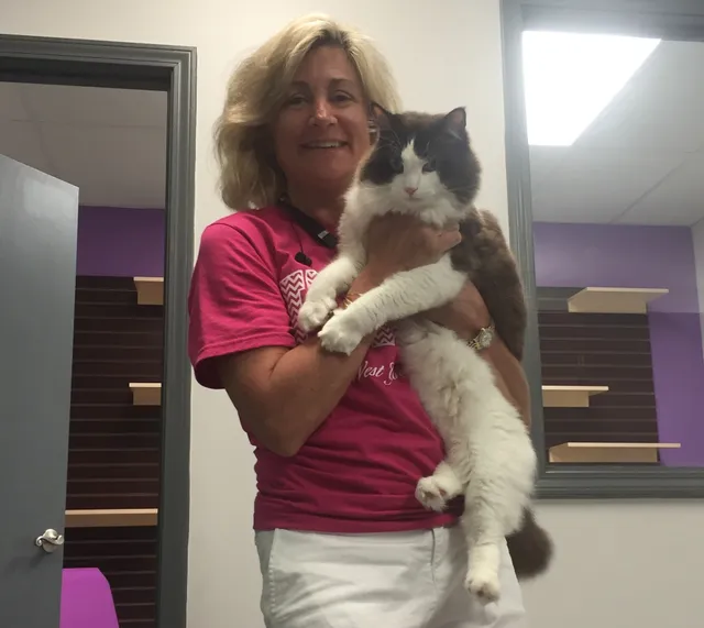 Whiskers on Kittens Boarding and Dog and Cat Grooming