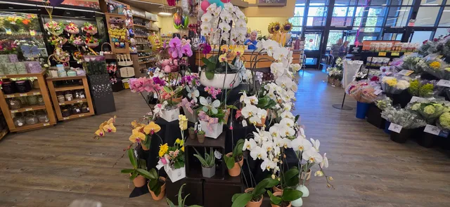 Pines Shopping Center