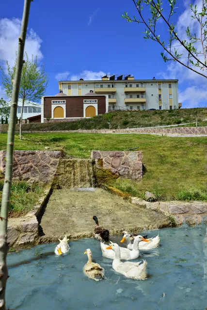 Doktorun Oteli - Kaplıca, Haymana