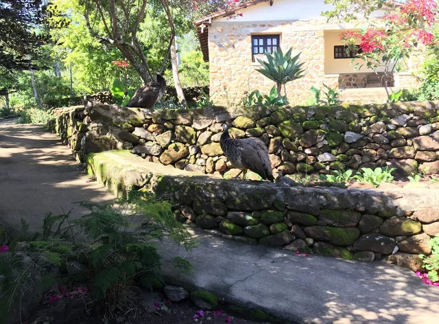 Pousada e Restaurante Café do Brejo