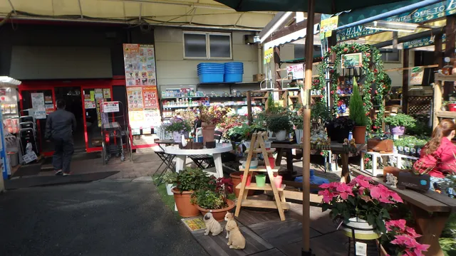 Handy Home Center Atami