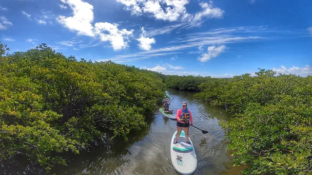 South Florida Paddle - Paddle Boarding Adventure Tours