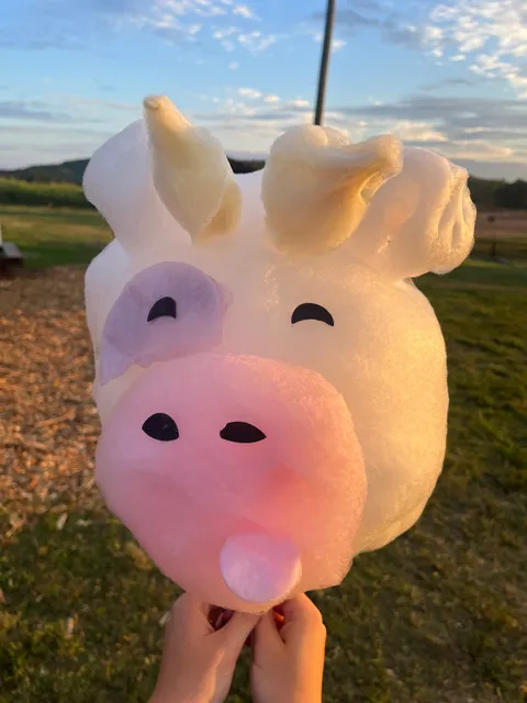 Sweet Spins Cotton Candy