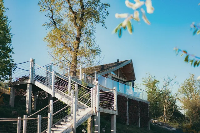 Oaklands Glamping & Treehouse