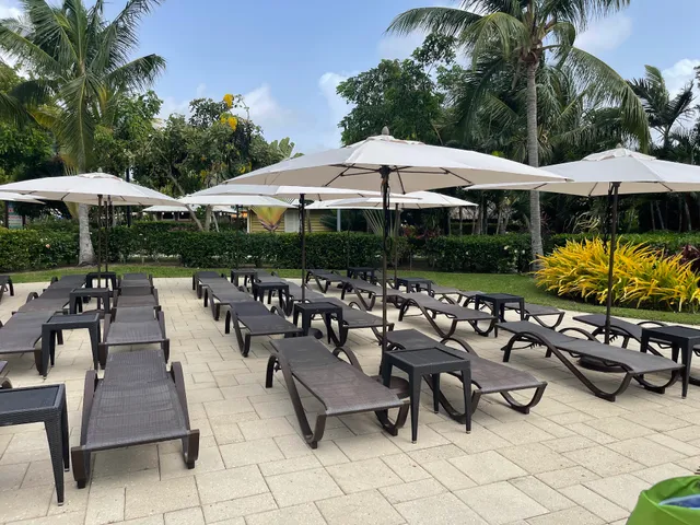 Harvest Caye Bar & Grill