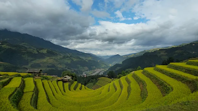 Móng ngựa Mù Cang Chải