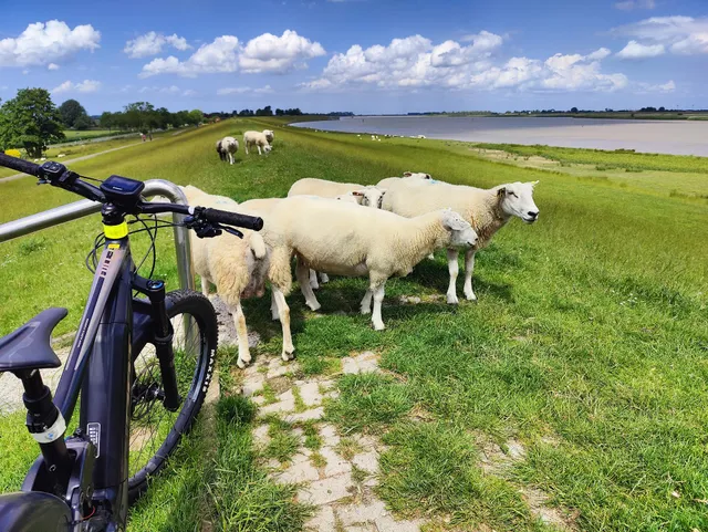 Ferienwohnung Rheiderland - Eggerichs