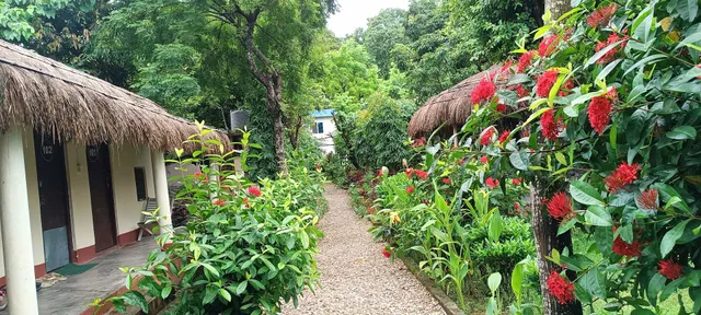 Crocodile Safari Camp