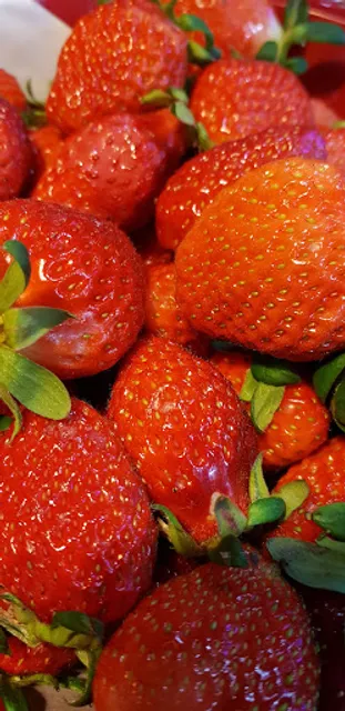 코리안숯불바베큐