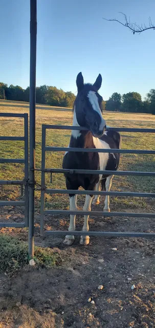 Jake E’s Riding Round Up