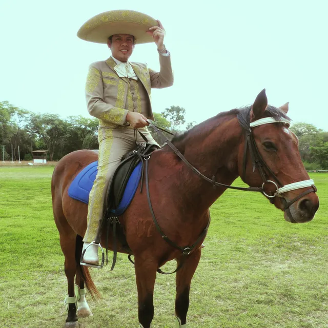 Restaurant Paco Plus