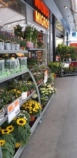 Migros-Supermarkt - Luzern - Waldstätter