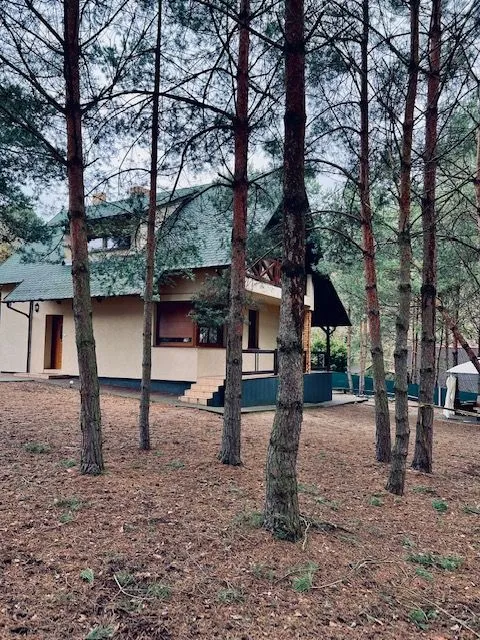 DOM I DOMKI CAŁOROCZNE ŁĘŻECZKI " SIEDLISKO MUSIALOVE " -- DOMKI NAD JEZIOREM CHRZYPSKIM