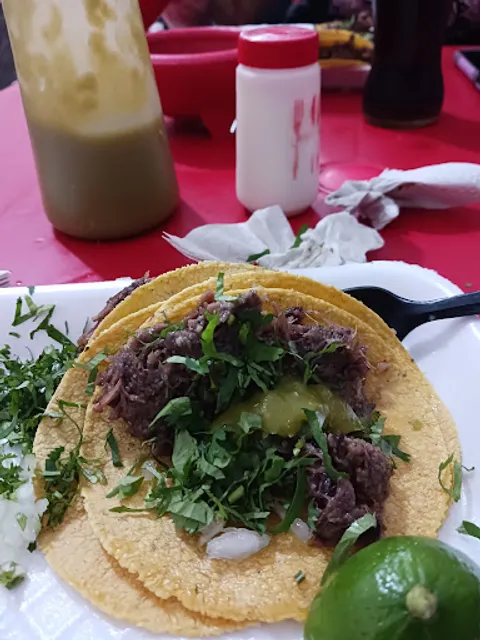 TACOS DE BARBACOA MODESTO ARREOLA