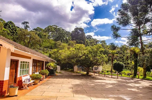 Colônia de férias SAA