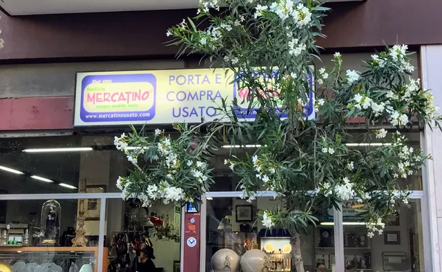 Mercatino Franchising Lecce