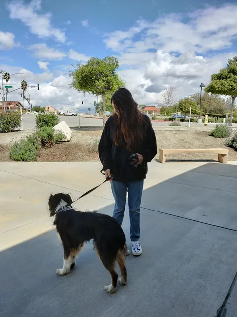 Riverside County (West) Animal Shelter