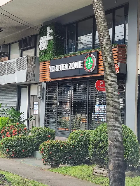 Yo & Tea Zone | El Dorado