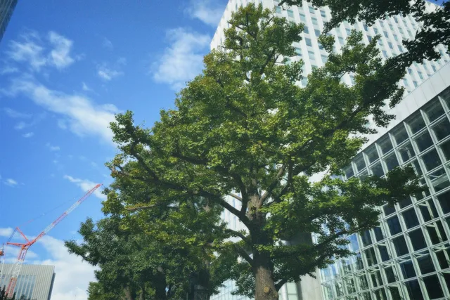 Nippon Life Insurance Sapporo