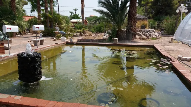 Nevada Water Gardens