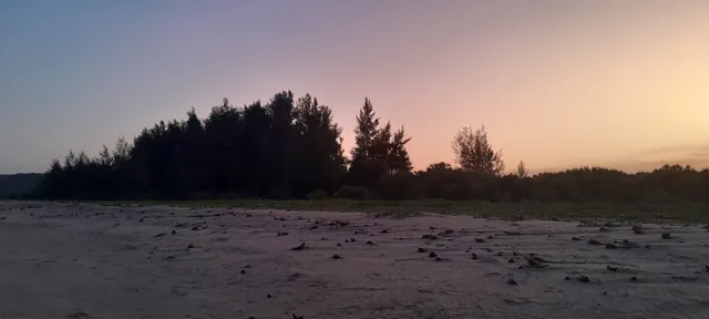 Pangani beach Resort