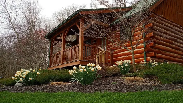 Cabins & Candlelight