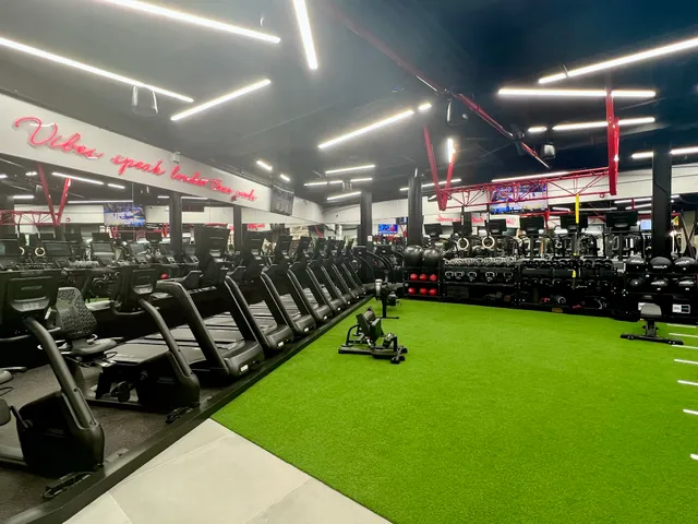 Vibe Fitness Greenpoint