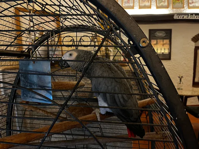 O Castelo - Café Lounge