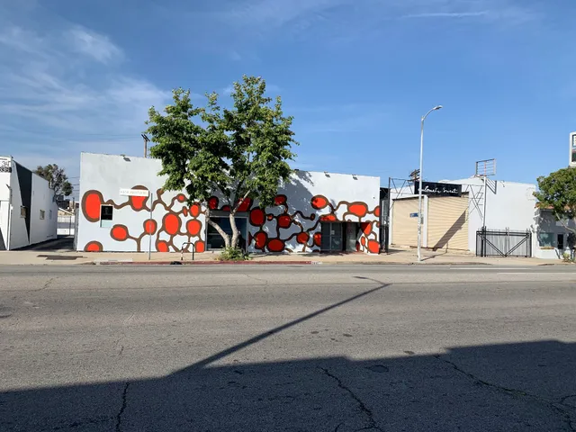 Walter Maciel Gallery