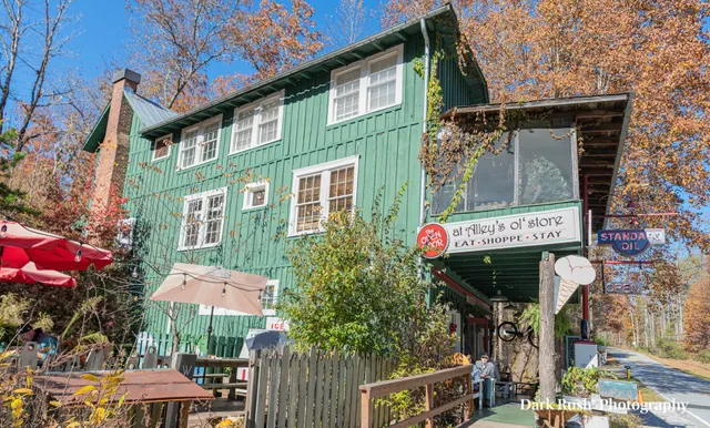 Ladybug Landing in Tiger GA