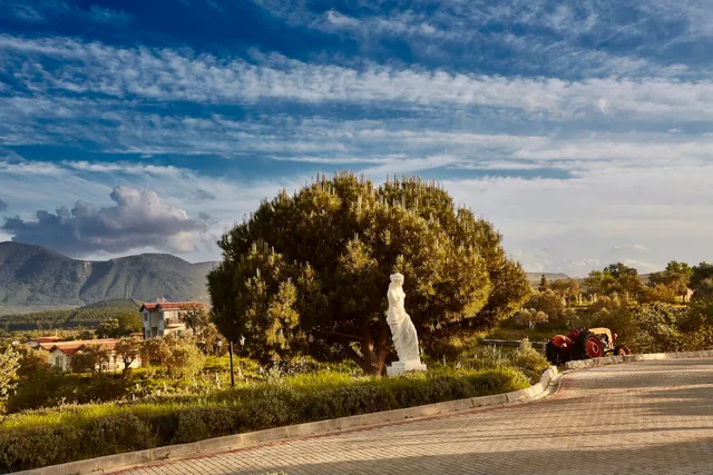 Yedi Bilgeler Vineyards