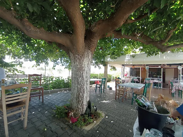 Costas Vassiliadis Tavern