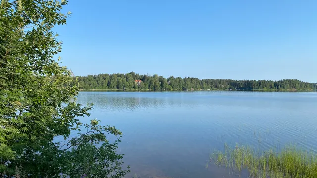 place image