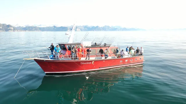 Puffin Fishing Charters