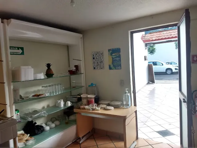 La Ensalada - Venta de Comida Vegetariana