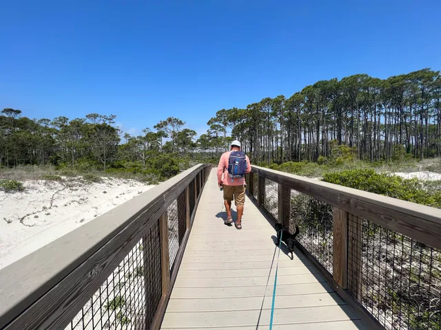 East Slough Overlook