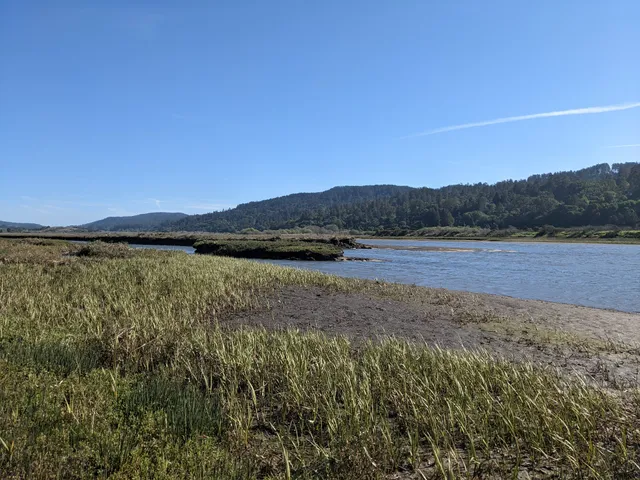 Tomales Bay Trailhead