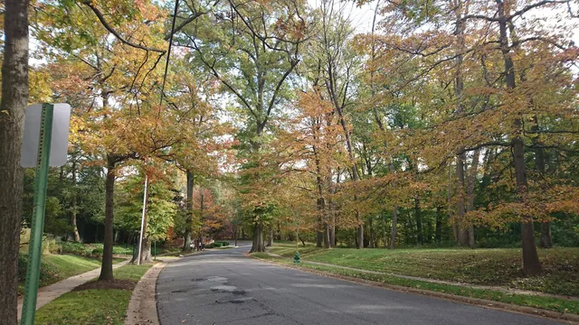 Woodland-Normanstone Terrace Park