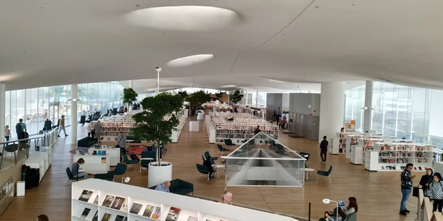 Song Trees (Pikes song)