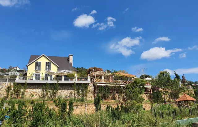 The Cleomy - Organic Living & Coffee