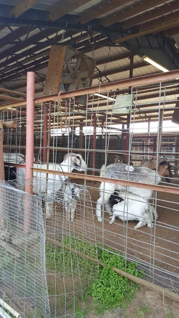 Farmers Co-Op Market