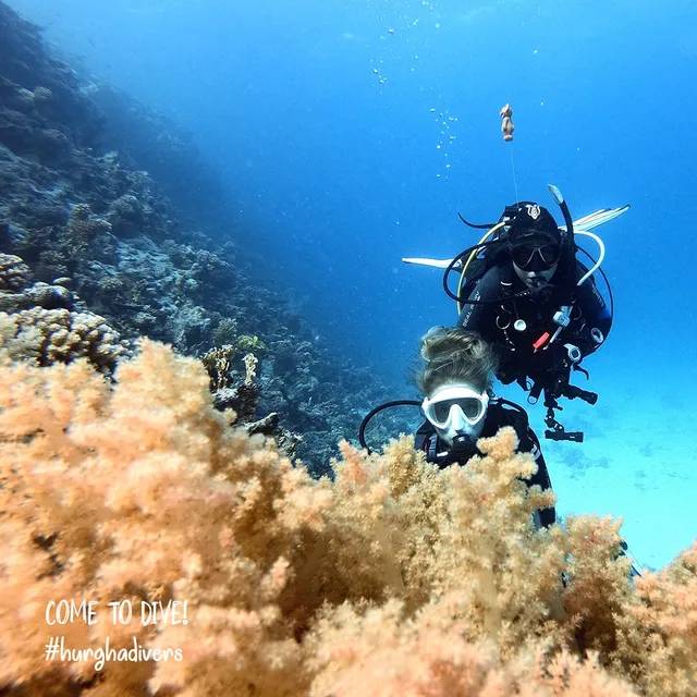 Hurghadivers | Hurghada best diving in Red Sea - PADI
