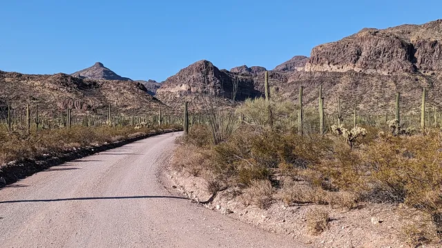 Ajo Mountain Loop