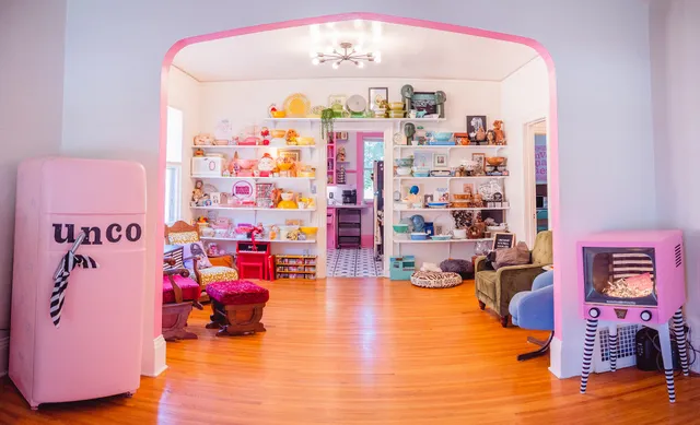 Unconventional Cookies