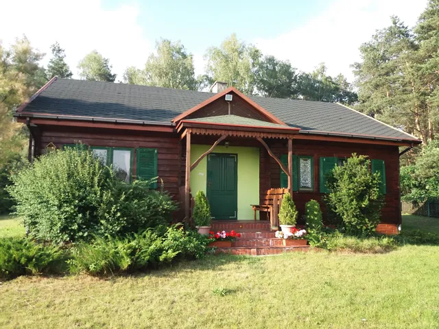 Under the Forest House